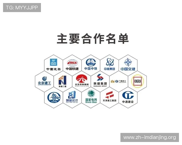 欧博正网合作成功案例分享，探索行业合作的最佳实践经验